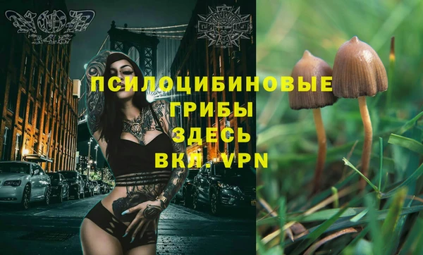 спиды Абдулино