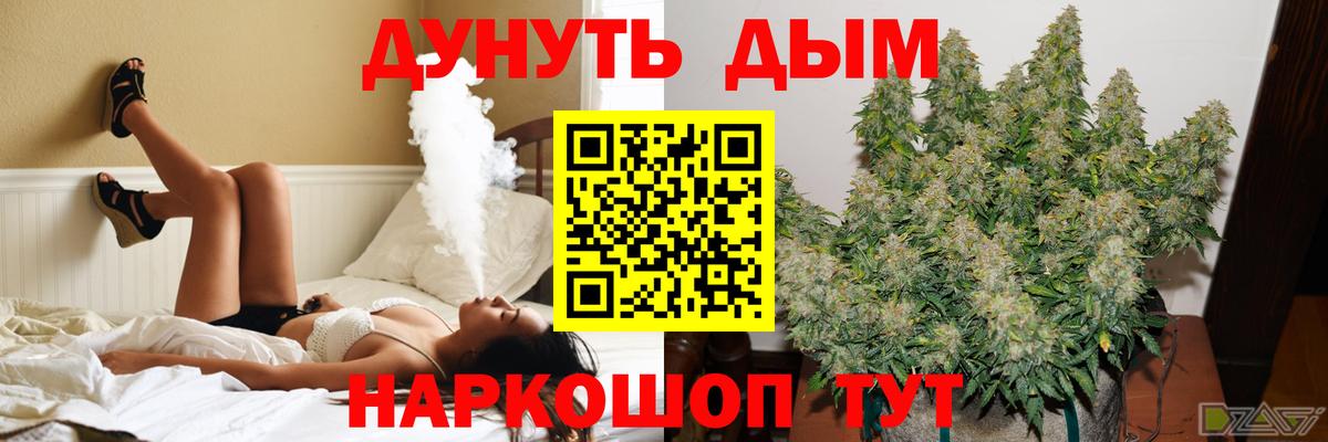 Каннабис индика Курганинск